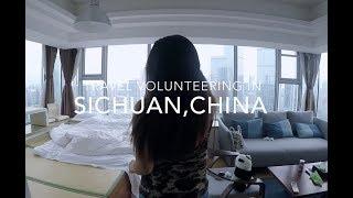   Panda Travel Volunteering In Sichuan China  | Irina Yin