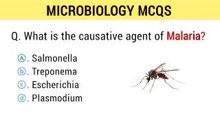 Microbiology Mcqs | microbiology mcq questions answers