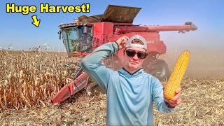 I Made $100,000 In A Day On My Farm!