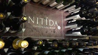 Nitida - Introduction