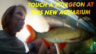 Touch a Sturgeon at this New Aquarium | The Catch | Great Lakes Now