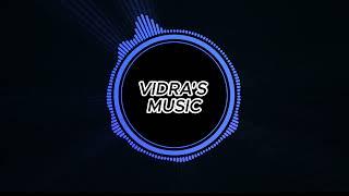 Cops & Robbers: Vidra's Music