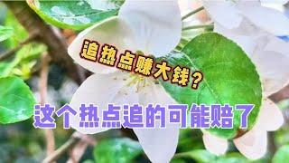 追热点就赚大钱，这个热点不仅不赚钱，可能还赔了，为什么？#分享收藏知识