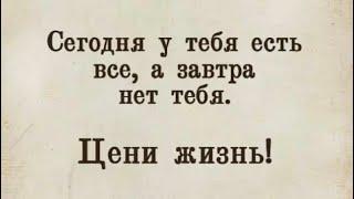 Сегодня у тебя есть все…/21.11.24