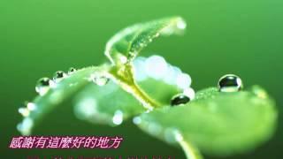 •*(小小的樹) 慈濟歌選 (兒童音樂專輯) Tzu Chi Songs