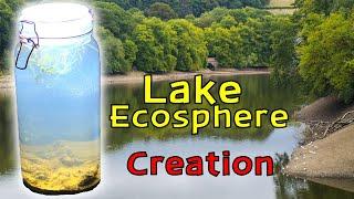 Creating a Lake Ecosphere │ An ECOSYSTEM within a SEALED glass JAR!