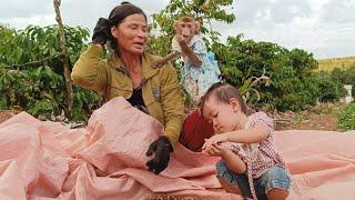 Monkey Titi and baby Bear enjoy playing with grandma's coffee berries.