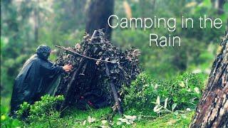 Camping alone on a heavy rain. Building a warm shelter. Bushcraft. Camping in the rain. Solo