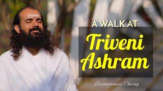 A walk at Triveni Ashram | Art Of Living | Made with Love | Brahmachari Chirag | captured from phone