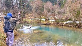 FORBIDDEN GOOD?️ Trout & Grayling fishing in winter