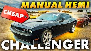 I Found This Manual Hemi Dodge Challenger at IAA for $3500! Winning!