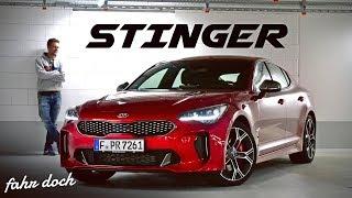 ICH WILL SO EINEN! KIA STINGER GT 2019 | Review und Fahrbericht | Fahr doch