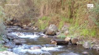 #aCienciaCerca - 16. Los ríos son más que canales de agua, por Javier Alba-Tercedo