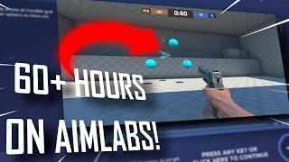 Why I wasted 60+ Hours on Aim Lab gridshot (What we learned...)