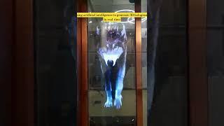 Using artificial intelligence to generate 3D holograms in real-time #qara07 #hologram #shortvideo