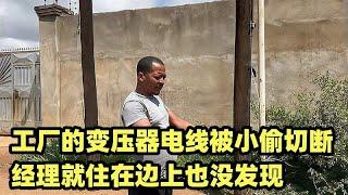 工厂的变压器电线被小偷切断，经理就住在边上也没发现