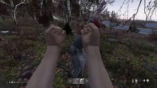 US Or UK DayZ Streamers?! Sahkal Bunker Run