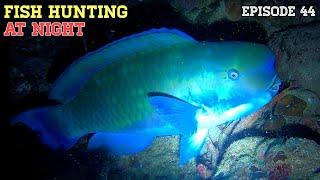 NIGHT SPEARFISHING EPISODE 44 | FISH HUNTING AT NIGHT