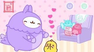 Piu Piu is OBSESSED with CUTE Owls 