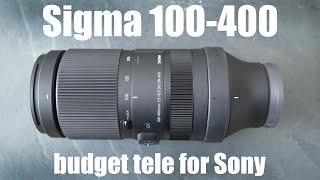 Sigma 100-400mm DG DN review VS Sony FE 100-400mm G Master