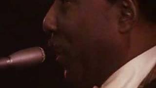 Muddy Waters plays Manish Boy