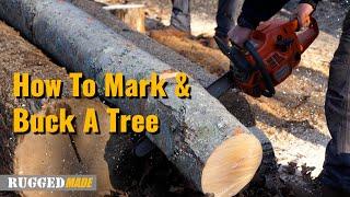 How to Mark, Buck, and Split a Tree Into Firewood