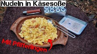 Nudeln in Käsesoße mit frischen Pfifferlingen | Kochen im Wald