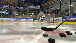 Herning BLUE FOX TRAINING SESSION - Mac Carruth