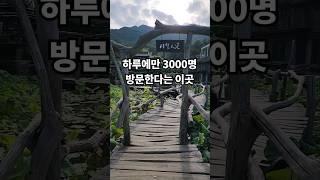 하루 3000명 방문하는 사찰 절