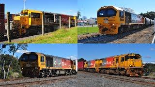 DFB Locomotives on Train MP8 + Other Freight Trains in Tauranga and Te Puna - 03/09/2021