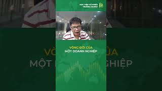 VÒNG ĐỜI CỦA MỘT DOANH NGHIỆP