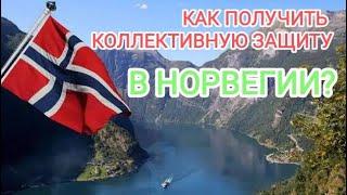 Украинец в Норвегии / коллективная защита / интеграционная программа