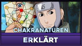 Die Chakranaturen - Erklärt! | AniMeep