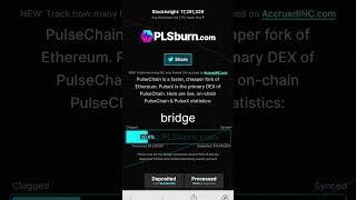 HOW TO SEE HOW CLOGGED THE PULSECHAIN BRIDGE IS IN ONE MINUTE!!!! #pulsechain #hex #cryptocurrency