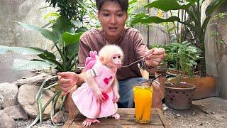 Dad enjoys watching while Monkey Baby Molly drink the refreshing orange juice