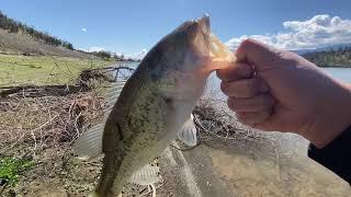 Bank Fishing For Bass (Bonus Find!)