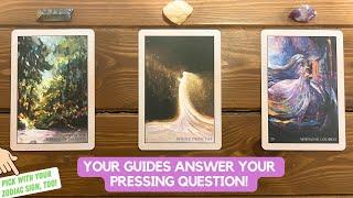 Your Guides Answer Your Pressing Question! | Timeless Reading