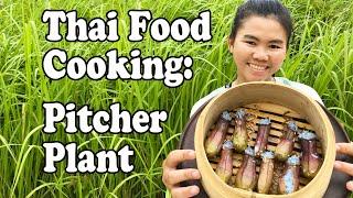 THAI LOCAL FOOD: COOKING & EATING PITCHER PLANT  ข้าวเหนียวหม้อข้าวหม้อแกงลิง ‍