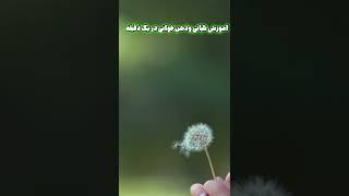 آموزش تلپاتی و ذهن خوانی در یک دقیقه