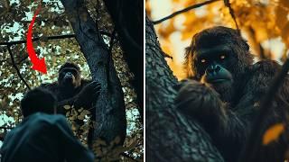 BIGFOOT Spotted? REAL Trail Cam FOOTAGE Leaves Experts Stunned!