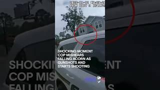 Shocking Moment Cop Mishears Falling Acorn As Gunshots and Starts Shooting #shorts