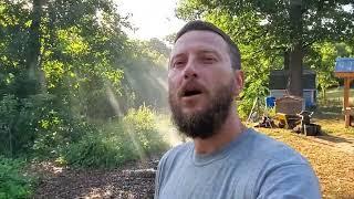 From Medicine Garden to Food Forest (permaculture integration - ecological succession)