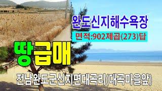 [24-128]전남 완도 신지명사십리 해수욕장 부근 대곡저수지근접 계획 관리지역 답 전남완도군 신지면 대곡리 대곡울몰길에 접해 있는 전원주택건축 최적지 매매~