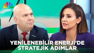 Yenilenebilir Enerji Sektörüne Fırsatlar ve Zorluklar