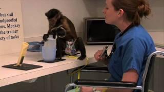 Helping Hands: Matching Capuchins with Those in Need