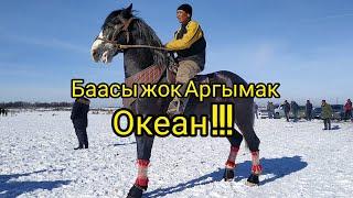 Баасы жок Аргымак Океан  !