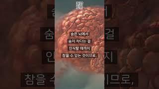 폐 건강 테스트 통과하면 정말 폐가 건강한 걸까?