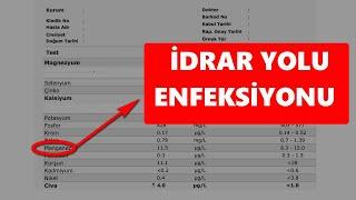 İDRAR YOLU ENFEKSİYONU TESTLERİ NELERDİR ?