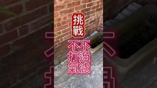 不打氣！不過濾！這樣缸子跑的起來嗎？下週一起來看看#水族館 #水族 #孔雀魚 #戶外缸 #教學 #實驗 #測試 #寵物 #動物 #造景