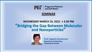 "Bridging the Gap Between Molecules and Nanoparticles"